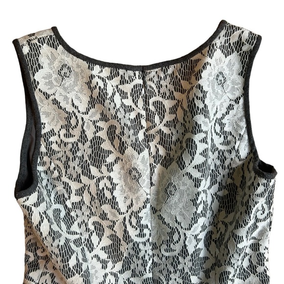 Club Monaco Ashby Lace Overlay Dress Size 8 Wool White Gray Fit and Flare V Neck - Picture 13 of 15